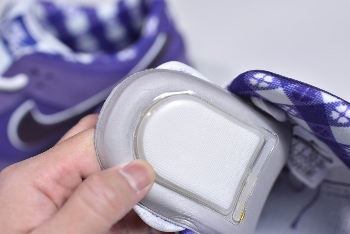 concepts x nk sb dunk low "purple lobster" bv1310-555