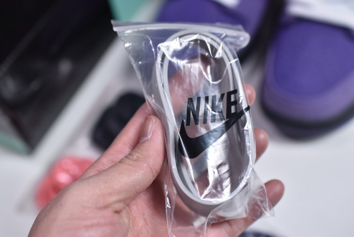 concepts x nk sb dunk low "purple lobster" bv1310-555