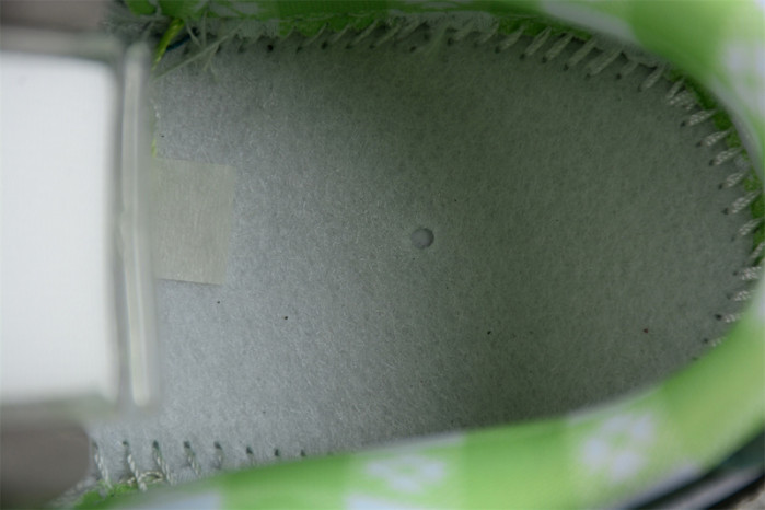 concepts x dunk low sb