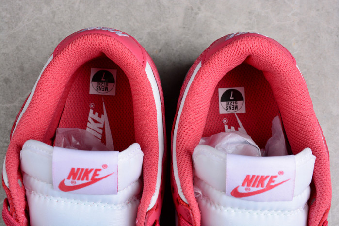 nike sb dunk low “raspberry red” dd1503-111