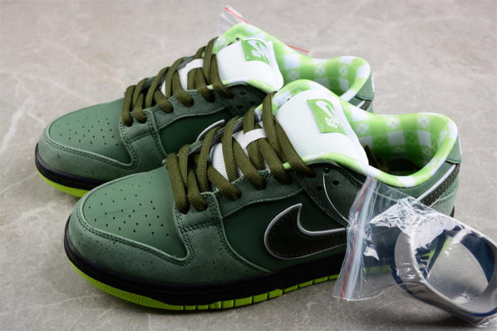 concepts x dunk low sb